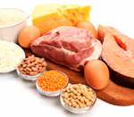 Protein